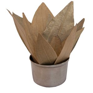 bay leaves 50g